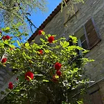Housica & Co. * Ucciani