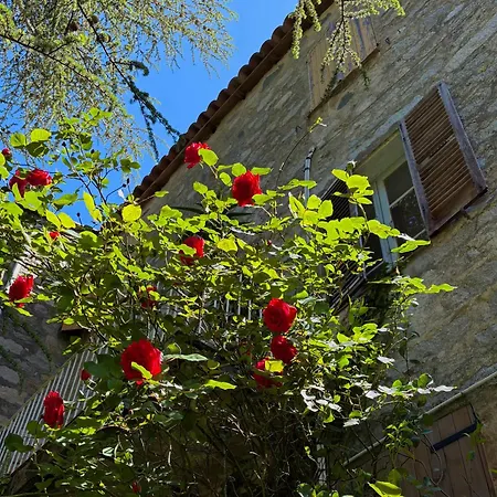 Housica & Co. * Ucciani