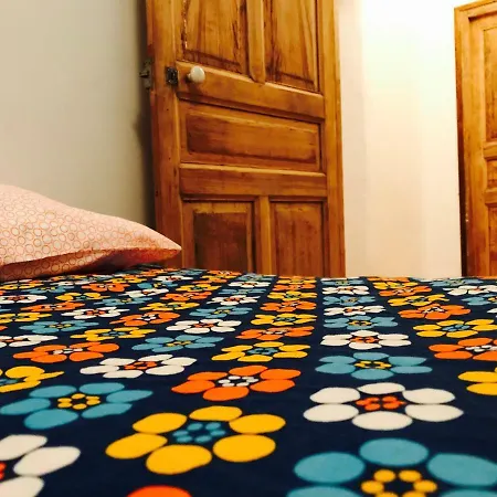 Housica & Co. アパート Ucciani