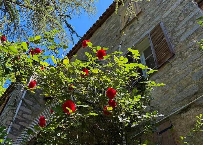 Housica & Co. * Ucciani