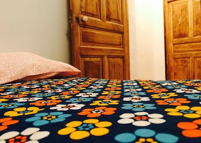Housica & Co. Appartement Ucciani